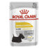 Wet food Royal Canin Dermacomfort Meat 12 x 85 g