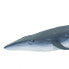 SAFARI LTD Sei Whale Figure