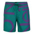 Фото #1 товара O´NEILL Cali Zoom Swimming Shorts