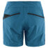 Фото #4 товара KLÄTTERMUSEN Vanadis 2.0 Shorts