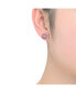 ფოტო #2 პროდუქტის Round and Colored Baguette Cubic Zirconia Stud Earrings