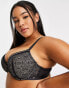 Фото #3 товара Dorina Curve Sunray geo lace lightly padded demi bra in black - BLACK