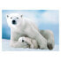 Фото #1 товара Puzzle Eisbär Baby 1000 Teile