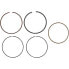 Фото #1 товара WISECO W3189XG Piston Rings