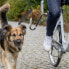 Фото #2 товара trixie Zestaw rowerowy ze smyczą, dla średnich i dużych psów, grafitowy, w kształtcie U, M-XL
