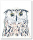 Фото #1 товара GG Funky Owl Portrait II Gallery-Wrapped Canvas Wall Art - 18" x 24"