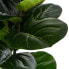 Фото #7 товара Kunstpflanze Ficus 155 cm