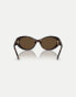 Фото #4 товара Versace ve4455u oval sunglasses in tortoise with brown lens in dark brown