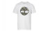 T-Shirt Timberland LogoT A2B4P100