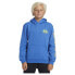 Фото #1 товара QUIKSILVER Omni Logo hoodie