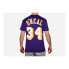 Фото #2 товара Футболка Mitchell&Ness BNN3CW19045LALPURP96SON