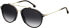 Carrera Men's Sunglasses