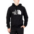 Фото #1 товара THE NORTH FACE Half Dome hoodie