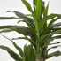 Искусственные цветы Homescapes Dracaena Fragrans Kunstpflanze 90 см - фото #12