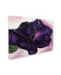 Фото #2 товара Georgia O'Keefe 'Petunia' Canvas Art - 19" x 14" x 2"