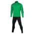 Фото #1 товара Спортивный костюм Zina CONTRA SENIOR 02447-014 (зелено-белый)