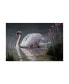 Фото #1 товара Wilhelm Goebel 'Summer Idyll Mute Swan' Canvas Art - 16" x 24"