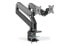 Фото #6 товара DIGITUS Universal Dual Monitor Mount with Gas Spring and Clamp Mount
