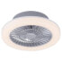 Фото #1 товара LED-Deckenventilator Leonhard II