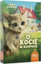 Фото #1 товара Настольная игра для компании Muduko O kocie w kłopocie MUDUKO