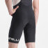 CASTELLI Premio LTD Edition bib shorts