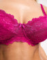 Фото #4 товара Ivory Rose Fuller Bust lace balconette bra in fuschia pink