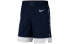 Nike USA SW AV3833-452 Pants