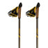 Фото #2 товара ASOLO Instructor Carbon 2 DLX Poles