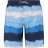 PROTEST Abel Swimming Shorts