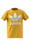 Фото #19 товара Футболка Adidas TREFOIL TEE IN8453