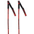 Фото #1 товара ROSSIGNOL Hero Gs-Sg Poles