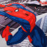 Фото #10 товара Bettwäsche Spiderman Marvel