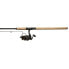 KINETIC Tournament Trout CL Spinning Combo
