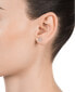 Gentle silver earrings studs with zircons Trend 85026E000-30
