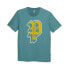 Фото #1 товара Puma Dylan Graphic Crew Neck Short Sleeve T-Shirt Mens Green Casual Tops 6787872