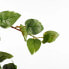 Фото #5 товара Künstliche Hängepflanze Scindapsus