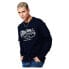 Фото #1 товара SUPERDRY Vintage Script Style Indg sweatshirt