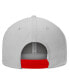 Фото #4 товара Men's Gray Wisconsin Badgers Hudson Snapback Hat