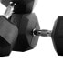 BODYTONE Hex Dumbbells 42kg 2 Units