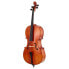 Hidersine Vivente Cello Set 4/4