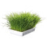 ფოტო #4 პროდუქტის TRIXIE Soft Grass Bowl