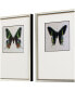 Фото #2 товара Great Butterfly I Framed Art, Set of 2