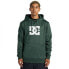 DC SHOES Snowstar hoodie