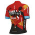 ALE Bahrain Victorious Replica 2023 Short Sleeve Jersey