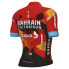 ALE Bahrain Victorious Replica 2023 short sleeve jersey