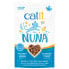 CATIT Nuna insect protein & herring recipe