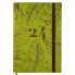Фото #1 товара Расписание Finocam Dynamic Casual 2024 Лист растения Разноцветный A5 14 x 20,4 cm