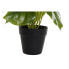 Декоративное растение DKD Home Decor PVC полипропилен 20 x 20 x 30 cm