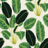 Genenieve Gorder For Hojas Cubanas Peel and Stick Wallpaper