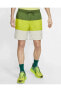 Фото #1 товара Шорты мужские Nike Sportswear City Edition CJ4486-326